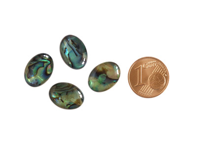 Abalone Cabochon Bild 1